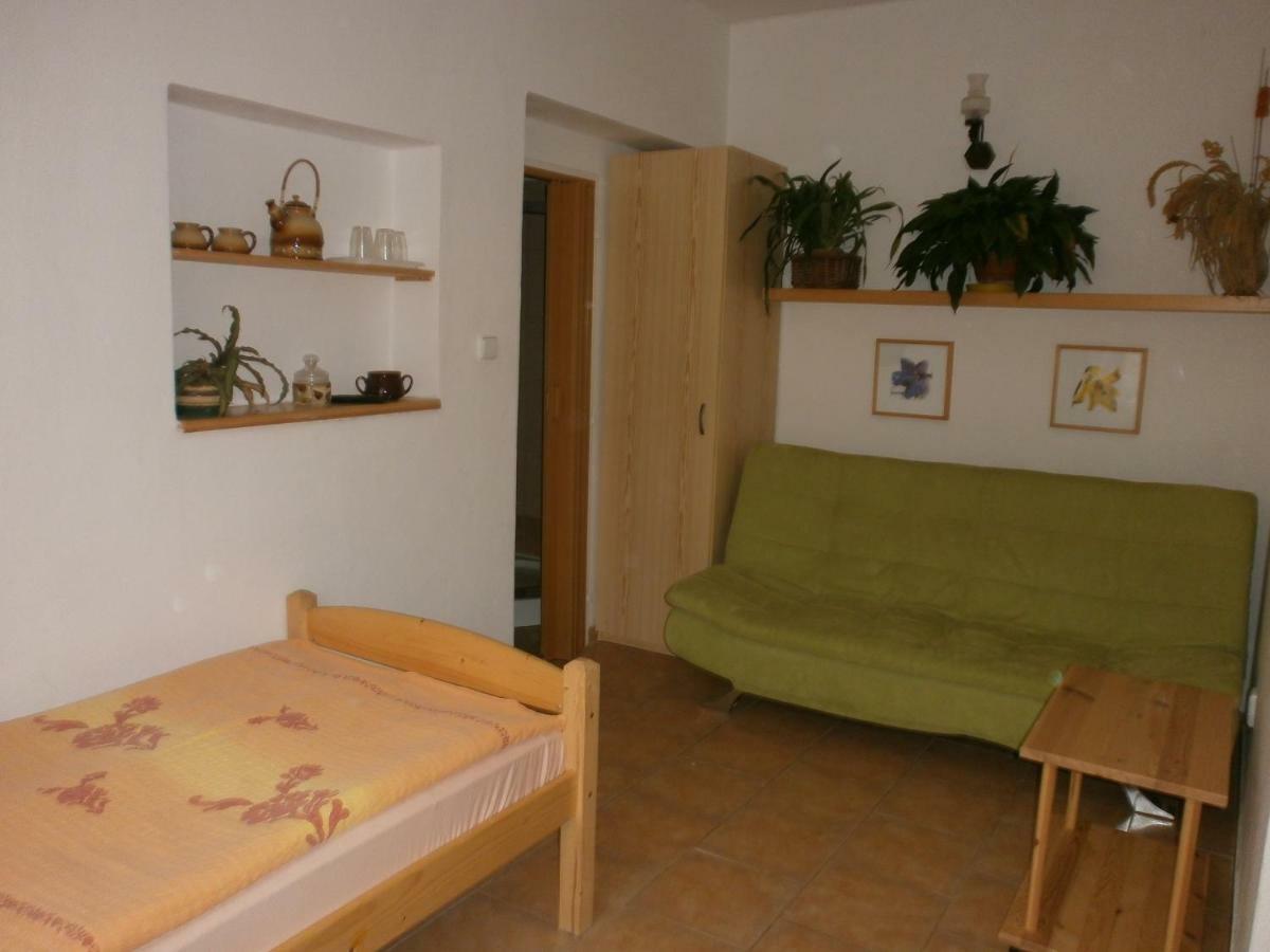 Penzion Blizanovy Planice Bagian luar foto